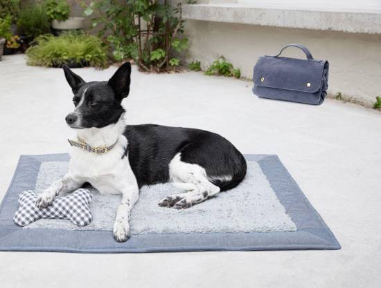 Hunde Accessoires | BURDA | Gr: one | Level: 2