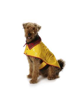 Dog coat | BURDA-Edition | Size: S-L | Levels: 2