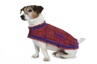 Dog coat | BURDA-Edition | Size: S-L | Levels: 2