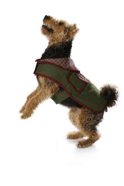 Dog coat | BURDA-Edition | Size: S-L | Levels: 2