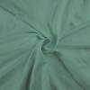 Bio French Terry (brushed) - GOTS - pistazie