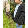 Bio Strick (Interlock) - GOTS - schwarz