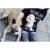 PEANUTS® Sewing Box - T-Shirt "Friends Hug Better"